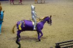 Quadrille - 00452